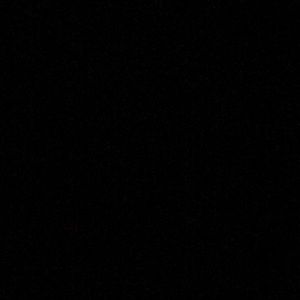 Meet your Posher, Shara